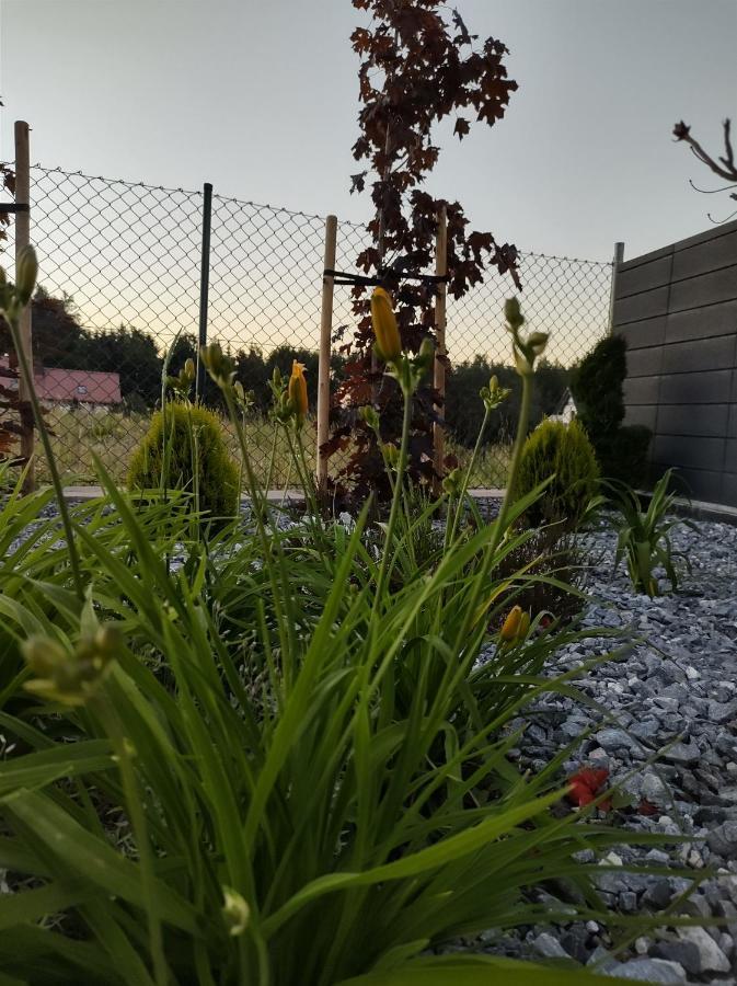 Apartament Nadziei 切米诺 外观 照片